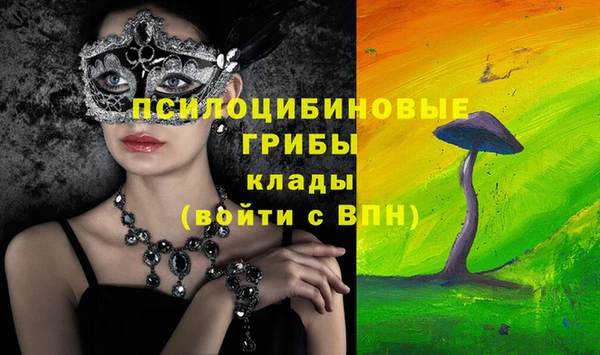 дмт Арсеньев